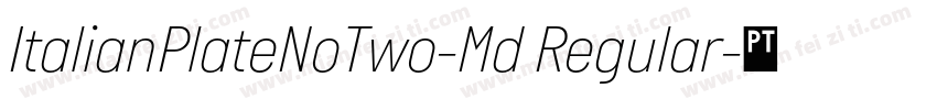 ItalianPlateNoTwo-Md Regular字体转换